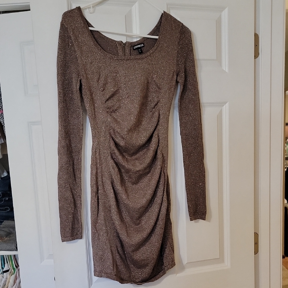 Express Shimmering Brown Long Sleeve Dress